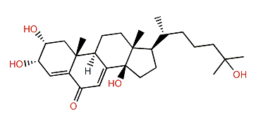 Hyousterone B